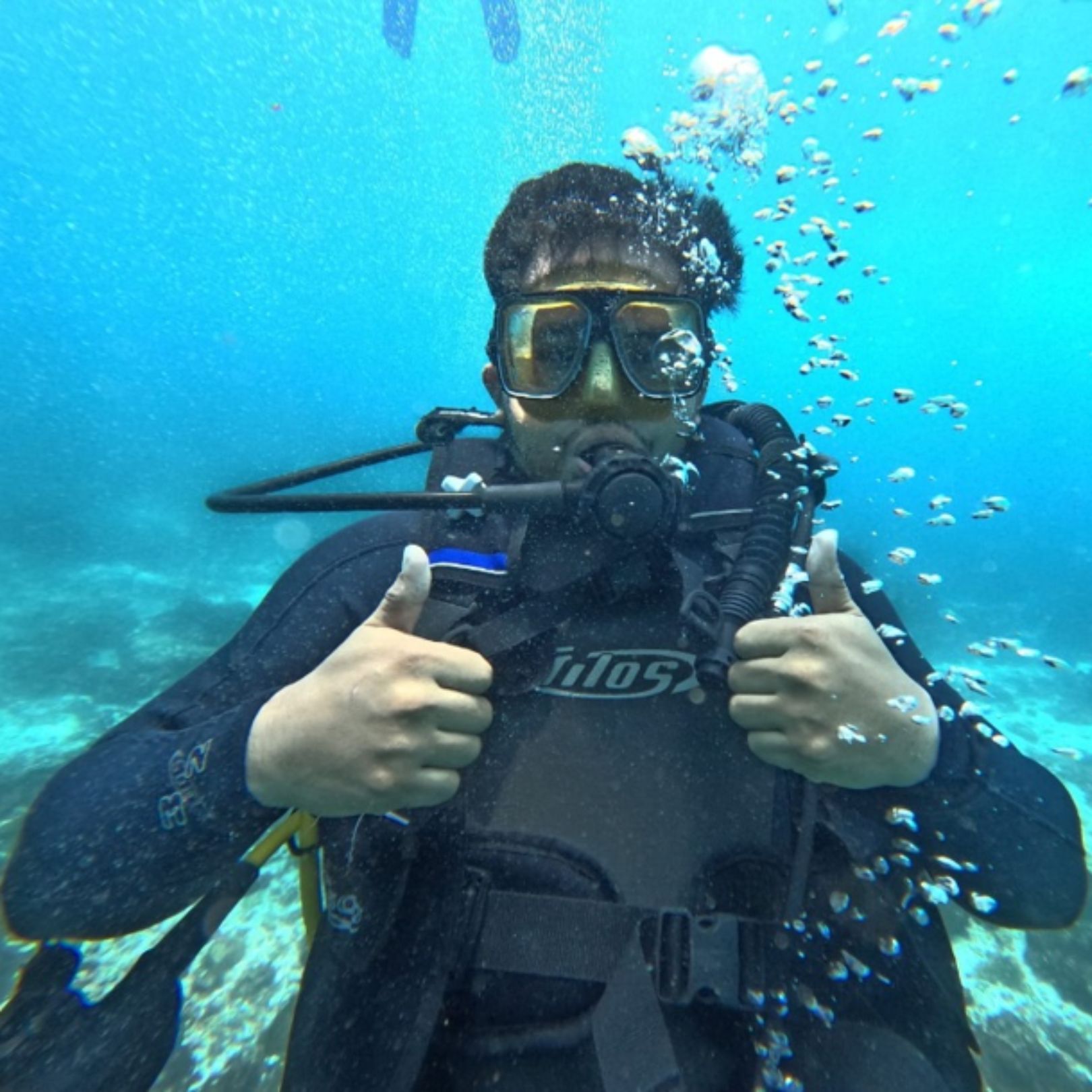 BUCEO
